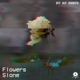 Flowers Single