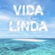 Vida Linda Single