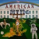 American Divide Single