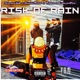 RISK of RAIN feat TIGER Single