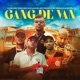 Gang de Van Single