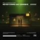 Never Gonna Say Goodbye Single