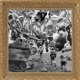 Survival Single