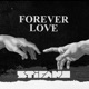 Forever Love Single