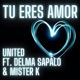 Tu Eres Amor feat Delma Sapalo Mister K Single