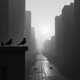 Morning Light In The City Single