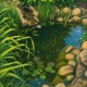 backyard pond Single