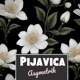 Pijavica Single