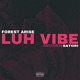 Luh Vibe feat Satori Single