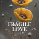Fragile Love Single