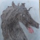 Wolf Single