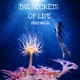 The Secrets of Life feat Luigi Catalano Single