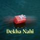 Dekha Nahi Single