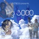 Fig 3000