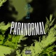 paranormal Single