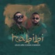 HABIBI Single