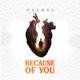 Because of You Single
