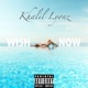Wish Now Single