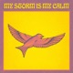 My Storm Is My Calm Shuko Remix Single