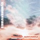 Summervibes feat Saint Purple Single