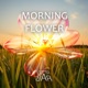 Morning Flower Single