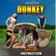 Instruction Single