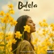 Bulela feat Djy stesh Lowkey Phushin P Lindo Mapresh Single