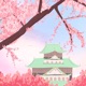 Koto Single
