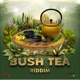 Bush Tea Riddim Single