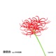 Lycoris feat Kaho Nakamura Single