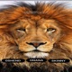 Kelewa Single
