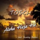 Aloha Heja He Remixes EP