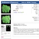 bulbasaur molly 50pc Single