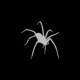 SPYDER feat GHXST Single