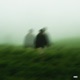 Lost Single