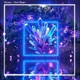 New Hope Single