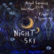 Night Sky feat Frede Iyami Aje Single