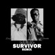 Real Survivor Remix feat J Derobie Single