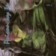 Poison Ivy Vol 2 feat Silvan Strauss EP