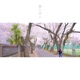 Harushion Single