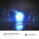 When the Night Falls Single