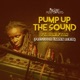 Pump up the Sound Professor Skank Remix Single