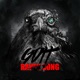 Raven Song Single