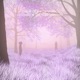 Forest of the Fairytales
