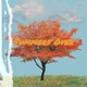 Summers Over feat Marcus Pendleton Single