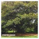 Springtime Serenade Single