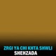 Zrgi Ya Chi Khta Shwli Single