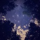 the stars are aligning Single
