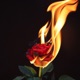 Unknown Feelings feat Lil Heart Single