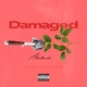 Damaged Single